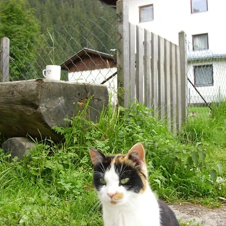 Apartments Seerhof Kaunertal Bagian luar foto